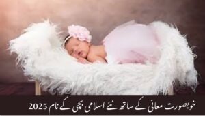 Read more about the article New Islamic Baby Girl Names 2025 with Beautiful Meanings