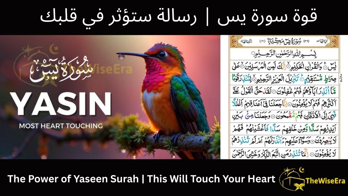 You are currently viewing The Power of Yaseen Surah | This Will Touch Your Heart